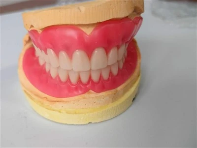 Cina Denta piena con denti Yamahachi